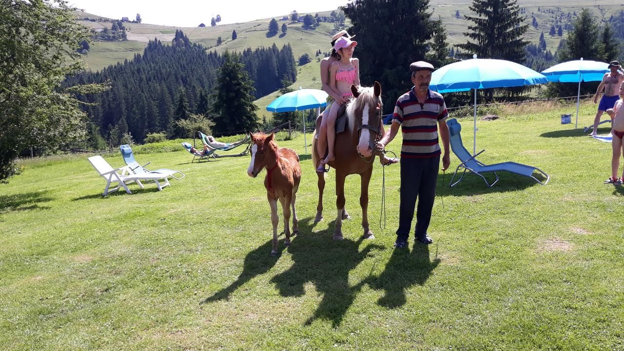Кемпинги Camping Nad Karpatamy Hrobyshche-4