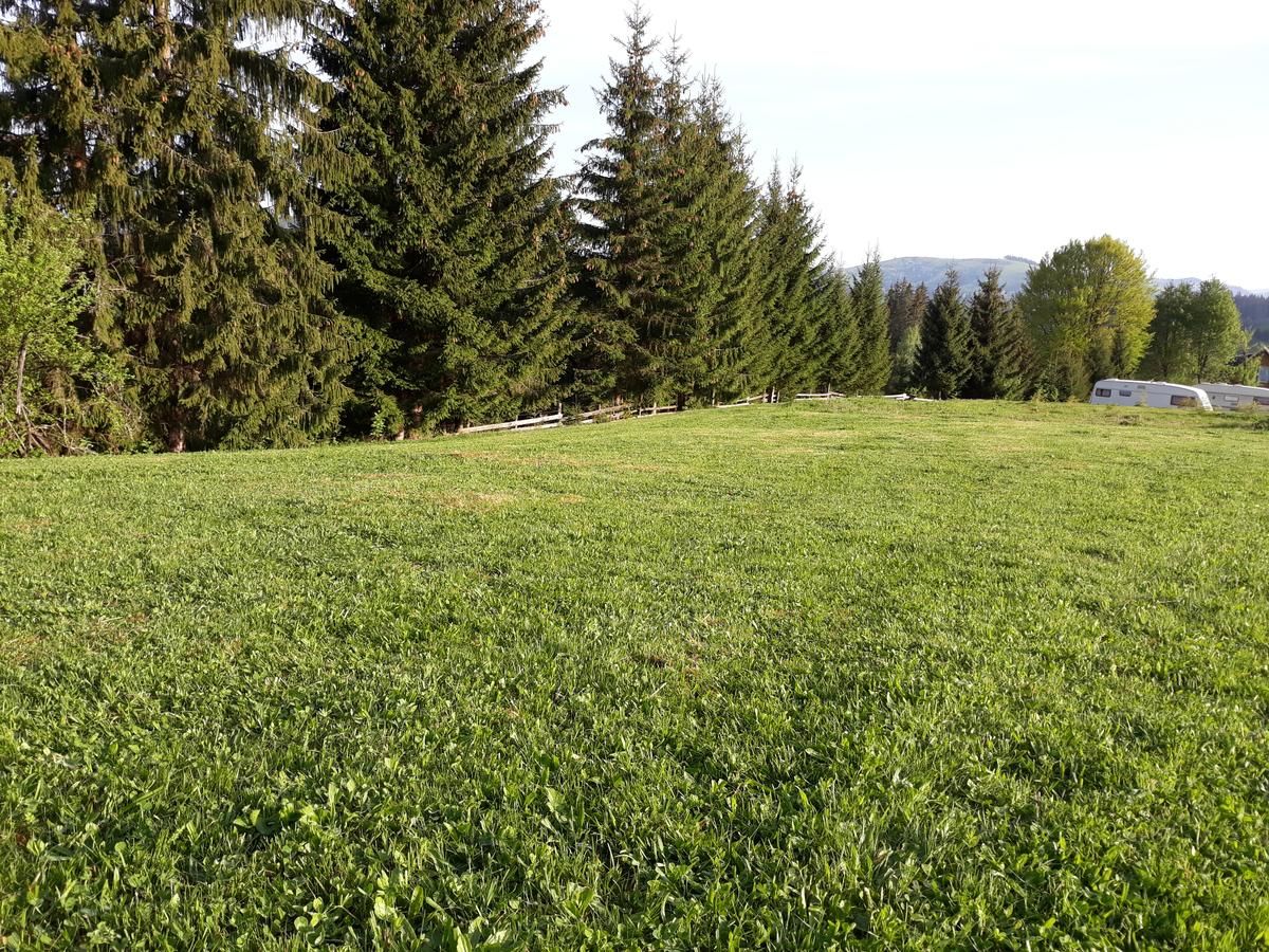 Кемпинги Camping Nad Karpatamy Hrobyshche