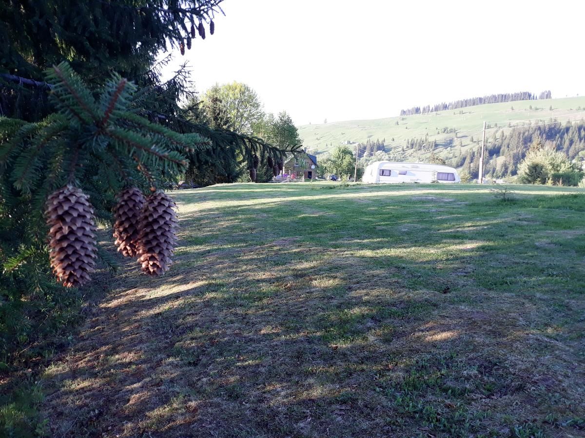 Кемпинги Camping Nad Karpatamy Hrobyshche