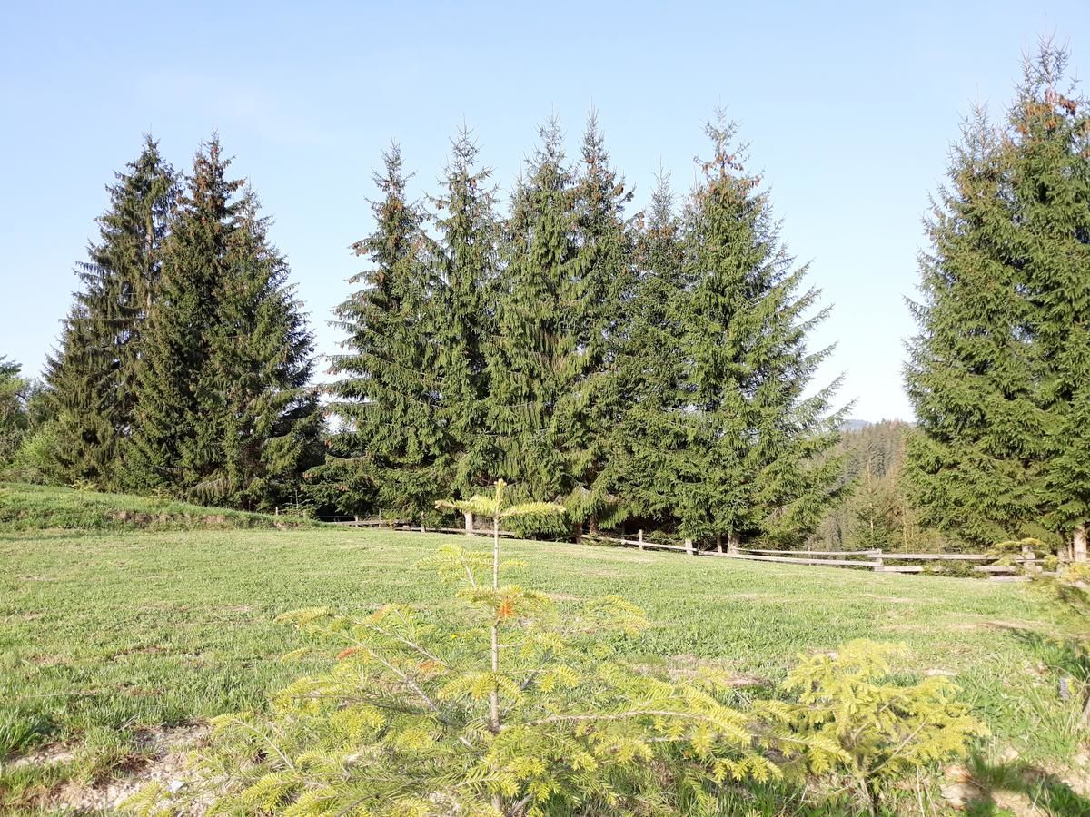 Кемпинги Camping Nad Karpatamy Hrobyshche