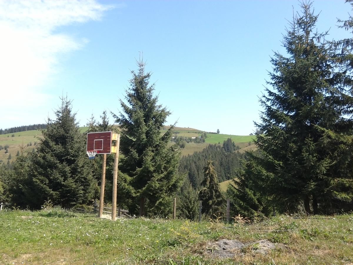 Кемпинги Camping Nad Karpatamy Hrobyshche-41