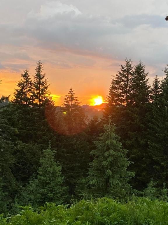 Кемпинги Camping Nad Karpatamy Hrobyshche