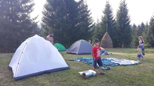 Кемпинги Camping Nad Karpatamy Hrobyshche-51